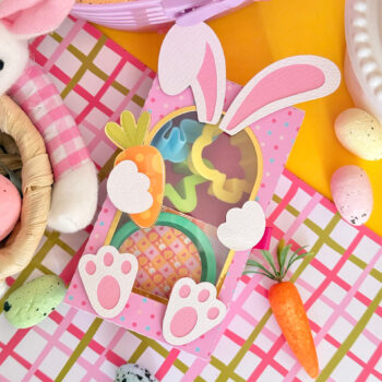 E5B2B2E4-A94F-41AD-ADD4-CF0C5E431285